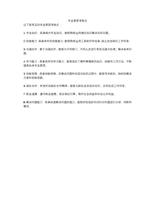 专业素质考核点