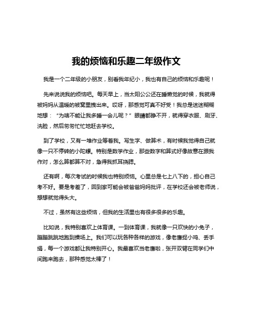 我的烦恼和乐趣二年级作文