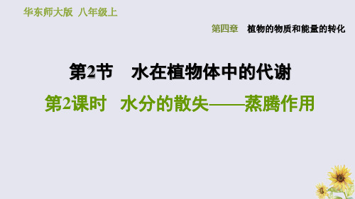 八年级科学上册第4章2水在植物中的代谢2水分的散失_蒸腾作用习题课件华东师大版