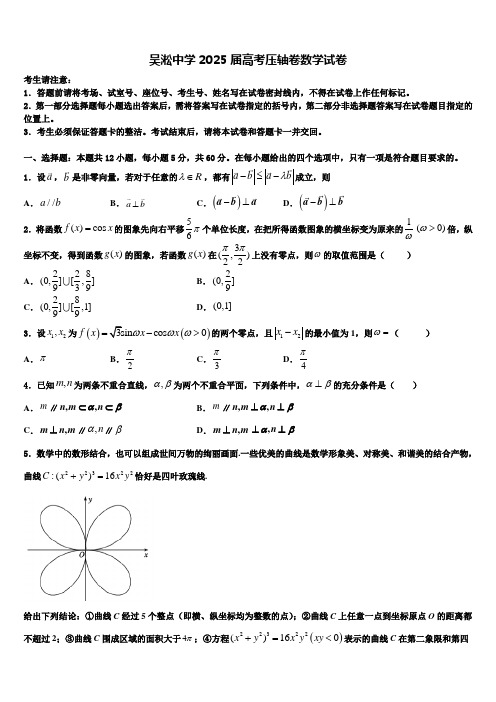 吴淞中学2025届高考压轴卷数学试卷含解析