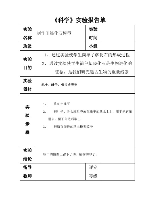 苏教版六年级下册科学实验报告单