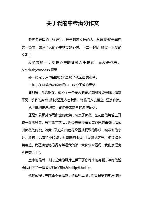 关于爱的中考满分作文