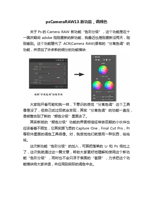 psCameraRAW13.新功能，调颜色