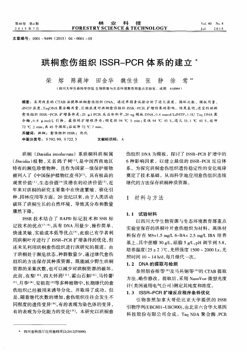 珙桐愈伤组织ISSR—PCR体系的建立