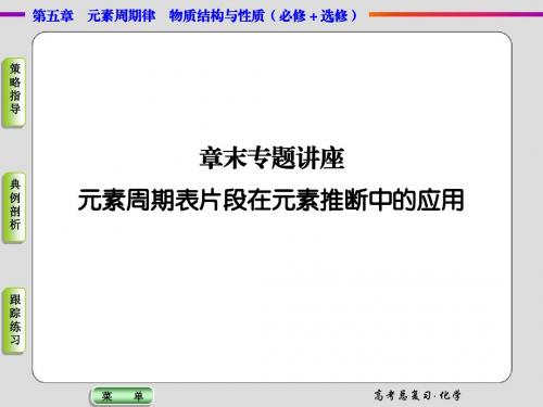 2015届高考化学总复习课件：讲座5 元素周期表片段在元素推断中的应用