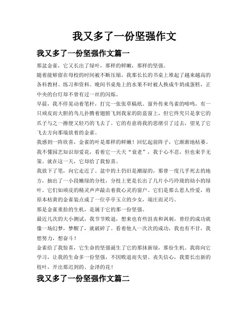 我又多了一份坚强作文