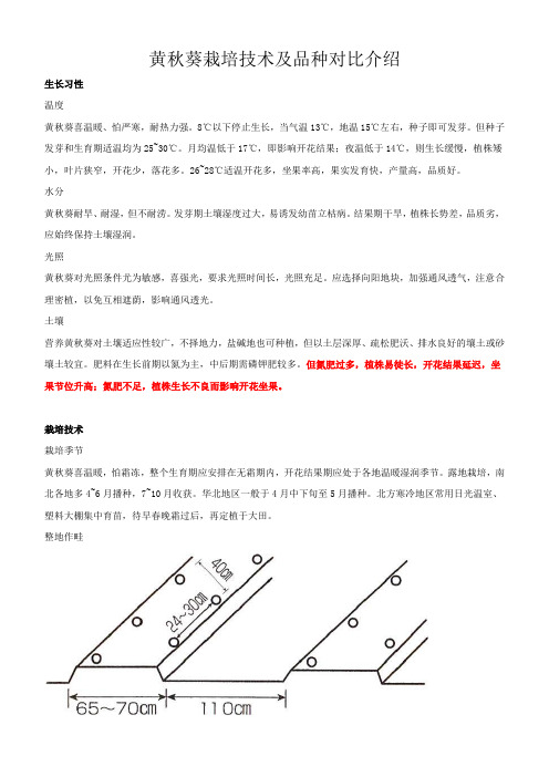 黄秋葵栽培技术及品种对比介绍