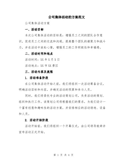 公司集体活动的方案范文