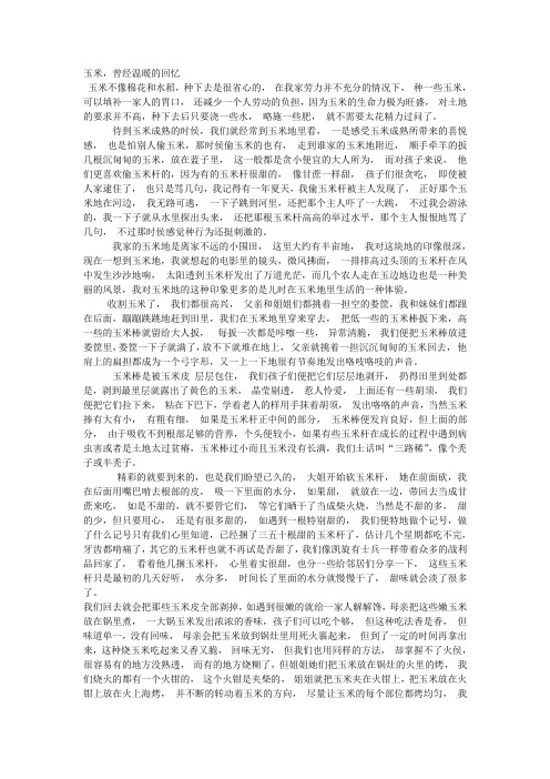 玉米,曾经温暖的回忆