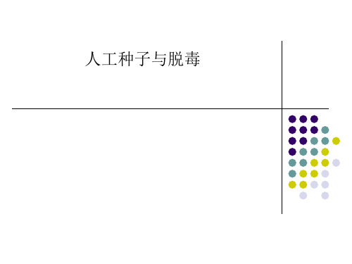 人工种子与脱毒