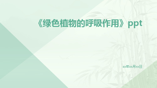 《绿色植物的呼吸作用》ppt