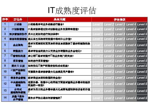 IT成熟度评估模型