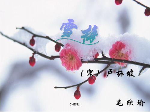 古诗《雪梅》PPT课件