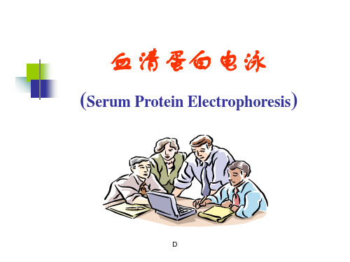 血清蛋白电泳