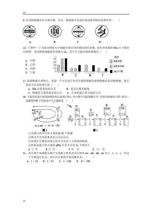 细胞分裂习题整理