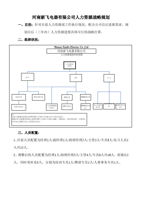 河南新飞电器有限公司人力资源战略规划