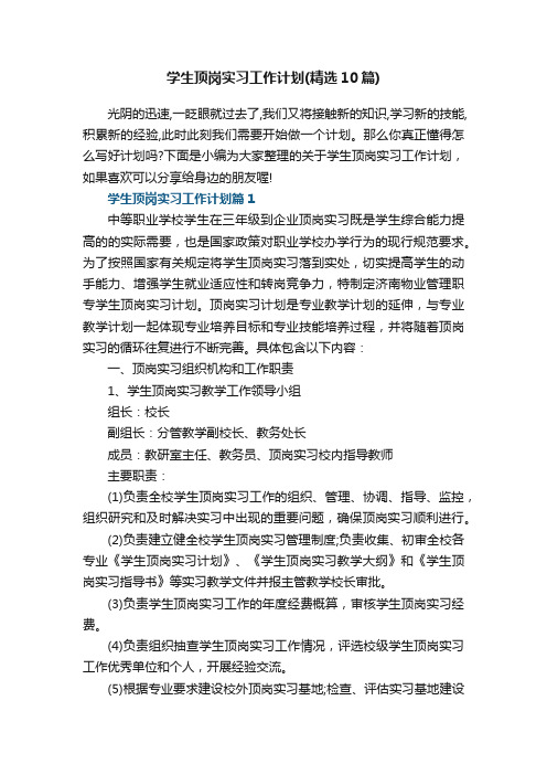 学生顶岗实习工作计划参考（精选10篇）