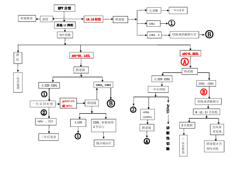 宫颈癌筛查 处理办法流程图
