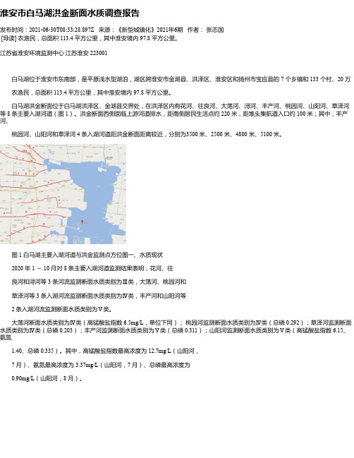 淮安市白马湖洪金断面水质调查报告