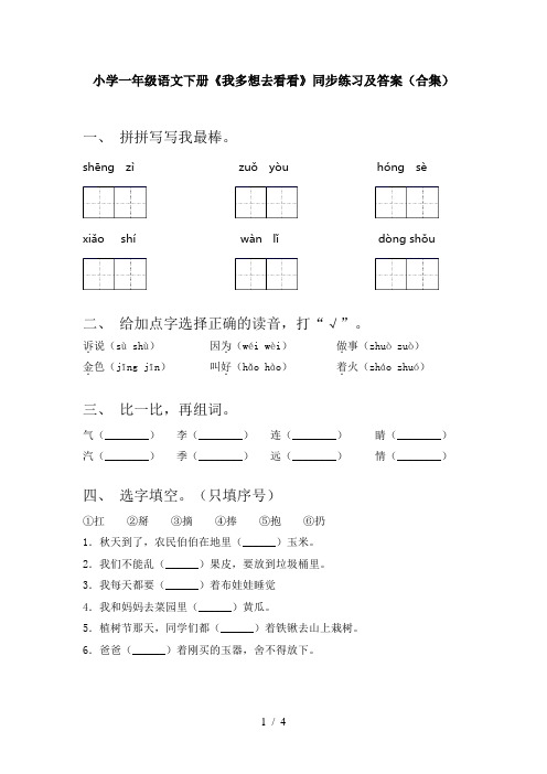 小学一年级语文下册《我多想去看看》同步练习及答案(合集)