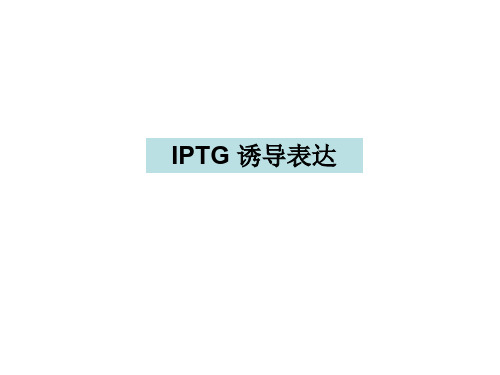 IPTG 诱导表达