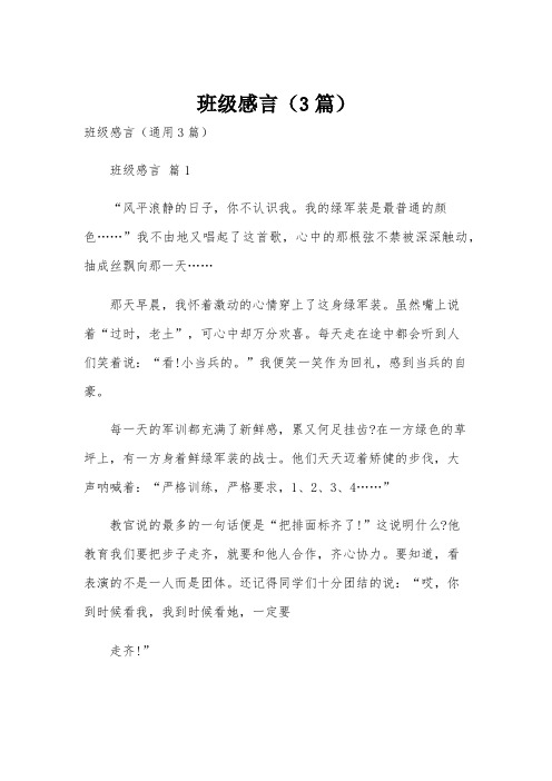 班级感言(3篇)