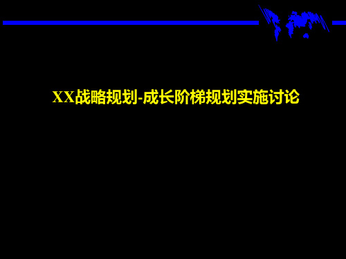 成长阶段的战略规划.pptx