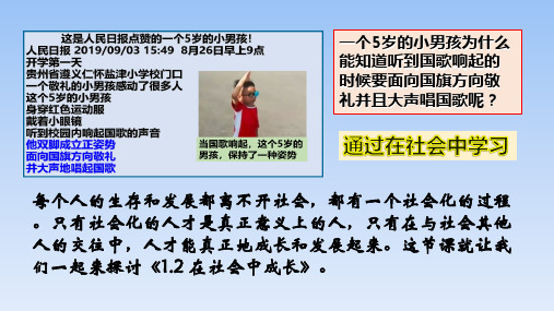 人教版道德与法治八年级上册 12 在社会中成长(31张 )