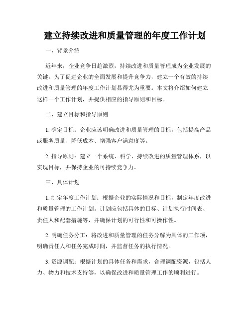 建立持续改进和质量管理的年度工作计划