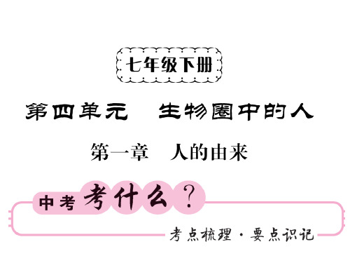 中考生物(人教)复习课件:七下 第四单元 第一章 人的由来(共46张PPT)