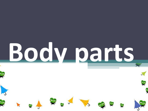 My-body-parts身体部位英语课件