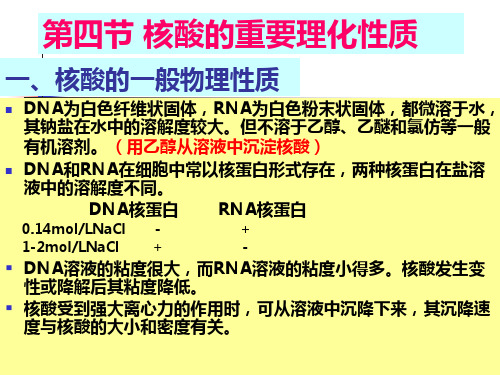 核酸的重要理化性质ppt课件