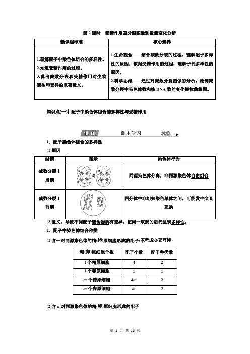 高中生物人教版(2019)必修2学案第2课时受精作用及分裂图像和数量变化分析