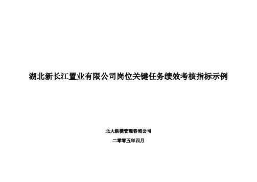 湖北新长江关键业绩考核指标示例-北大纵横