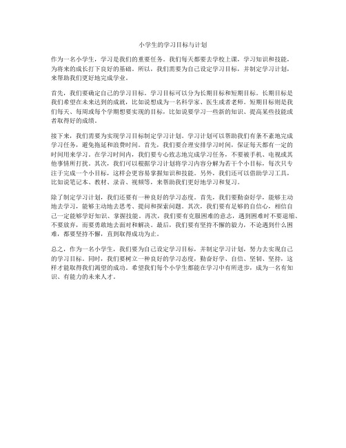 小学生的学习目标与计划