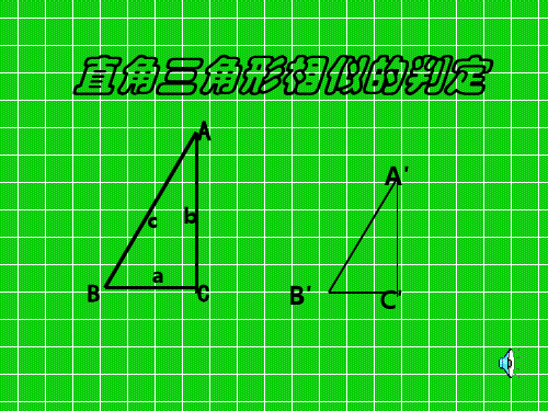 两个直角三角形相似的判定