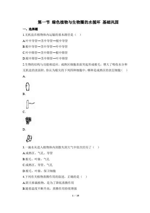 人教版生物七年级上册3.3.1《绿色植物与生物圈的水循环》同步练(含解析)