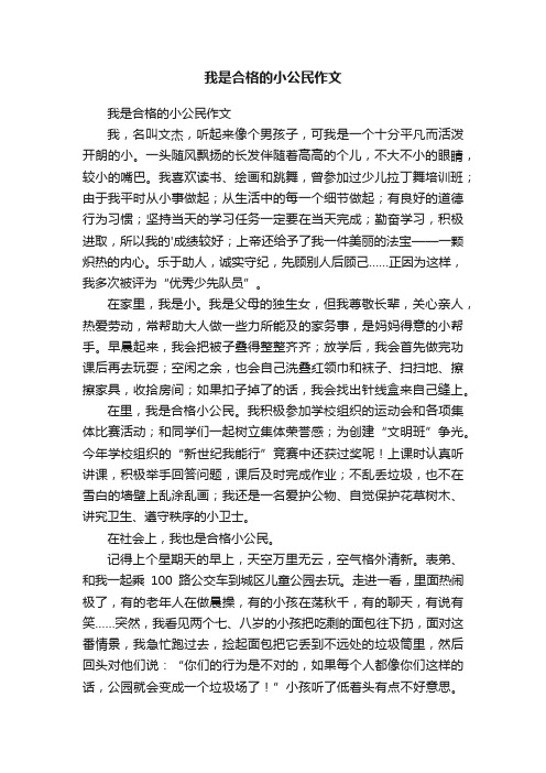 我是合格的小公民作文