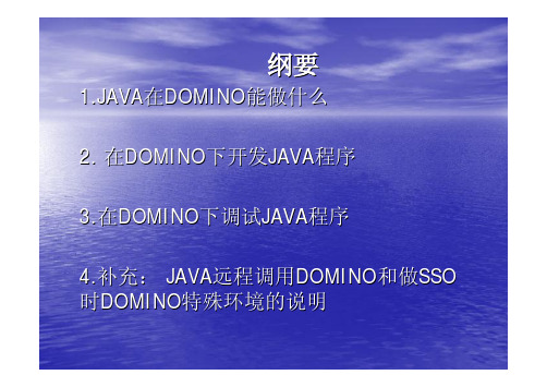 在DOMINO下开发JAVA