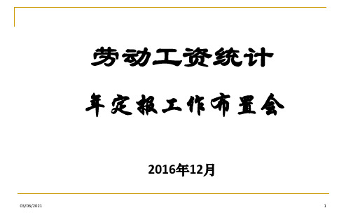 劳动工资2016年年报和2017年定期报表培训课件-劳动工资统计