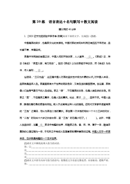 新高考语文 复习练习试卷 第59练