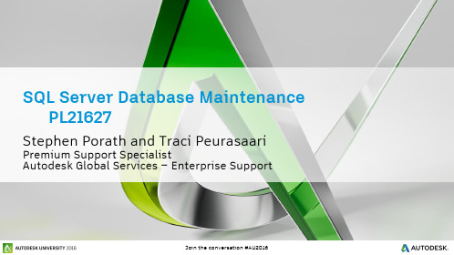 Autodesk SQL Server Database Maintenance 2016说明书