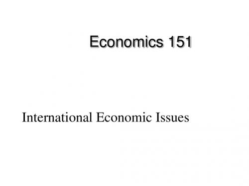 International Economic Issues(国际经济学)