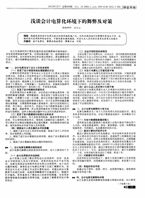 浅谈会计电算化环境下的舞弊及对策