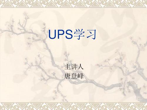 UPS入门介绍