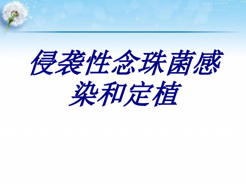 侵袭性念珠菌感染和定植PPT培训课件