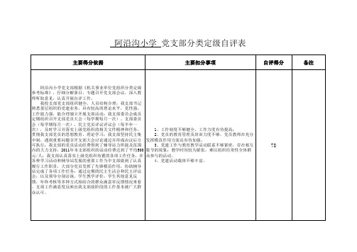 党支部分类定级表格