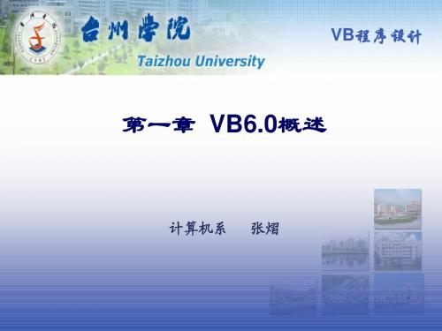 VB6.0概述