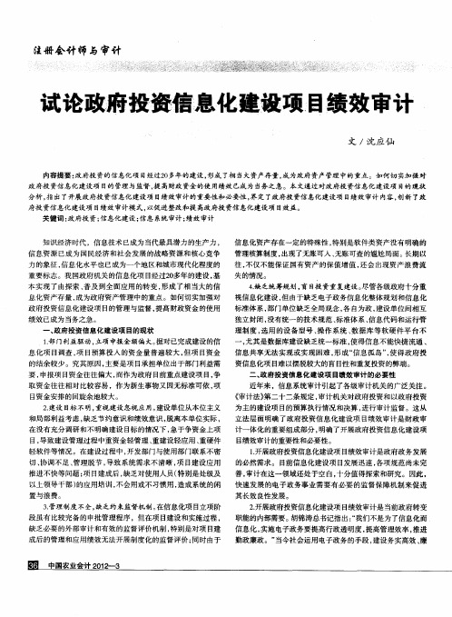 试论政府投资信息化建设项目绩效审计