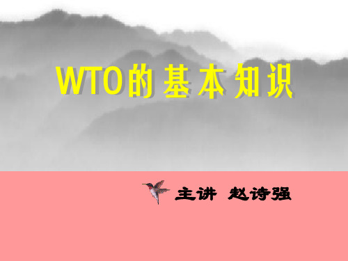 WTO的基本知识